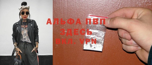 PSILOCYBIN Богданович