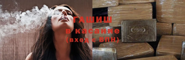 PSILOCYBIN Богданович