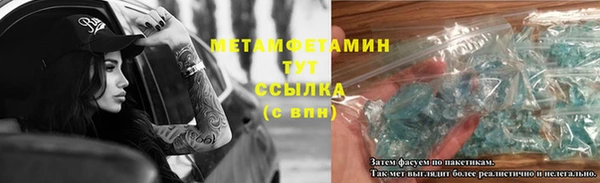 PSILOCYBIN Богданович