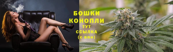 PSILOCYBIN Богданович