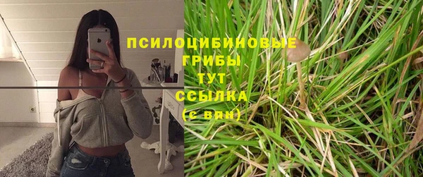 PSILOCYBIN Богданович