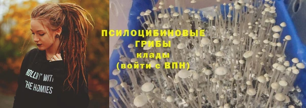 PSILOCYBIN Богданович
