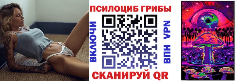 Галлюциногенные грибы GOLDEN TEACHER  цены   Дмитров 