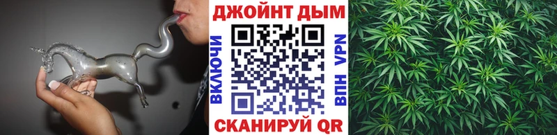 Бошки марихуана Amnesia  где продают наркотики  Дмитров 
